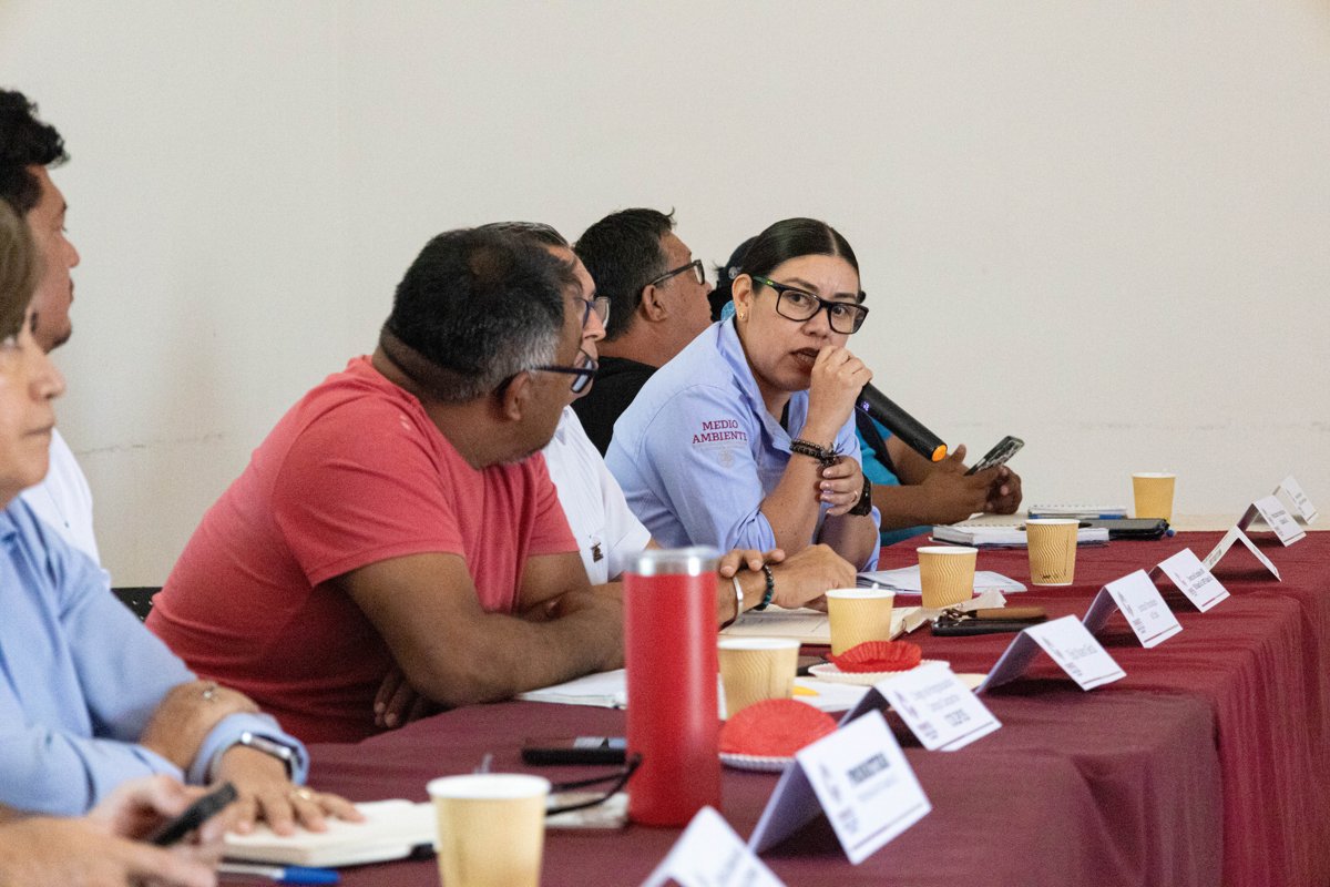 LA GRAN VOCACIÓN FORESTAL DE CAMPECHE COMIENZA A DESPERTAR