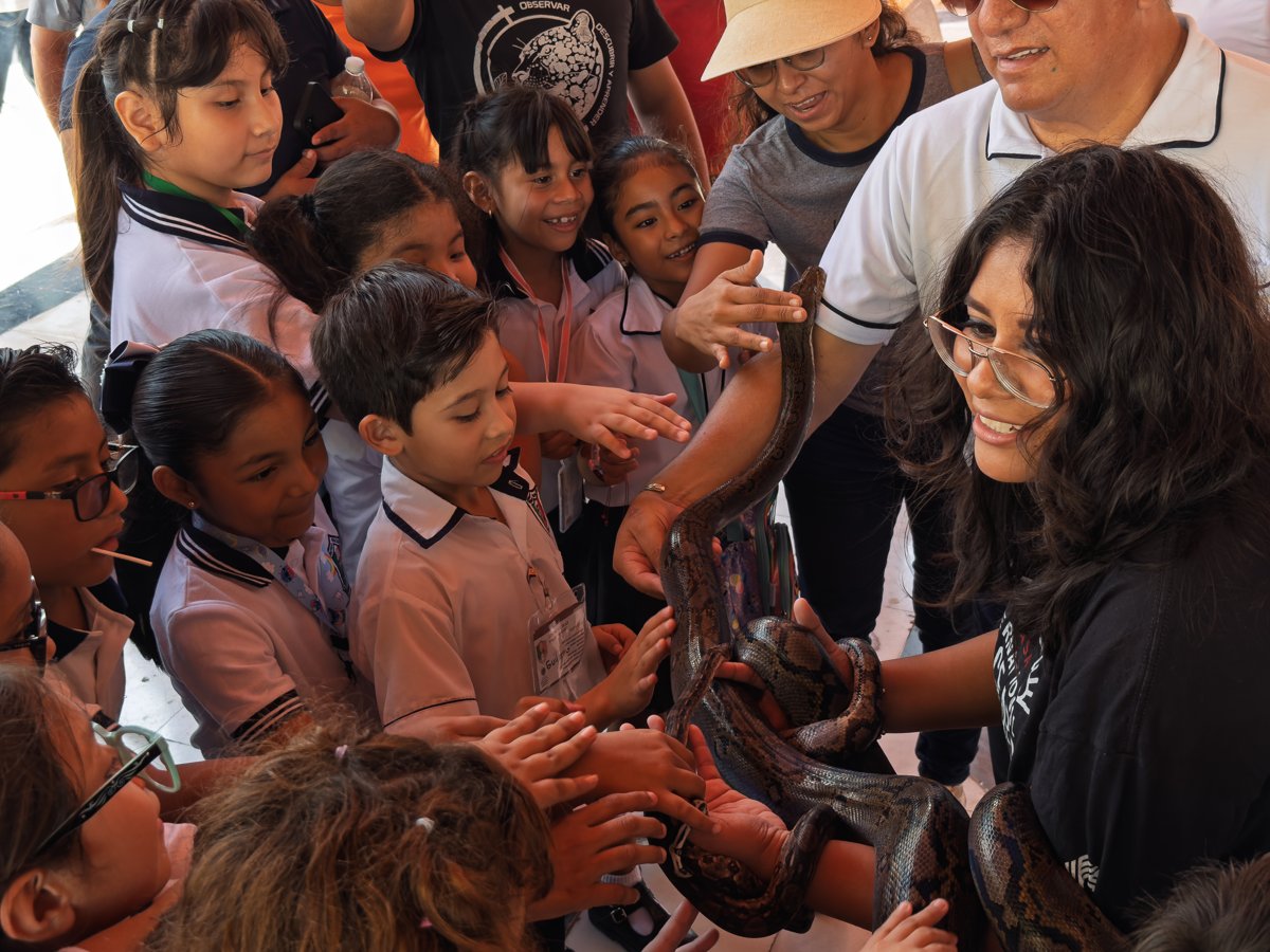 INSECTUS CONTINÚA CON UN FIN DE SEMANA LLENO DE CIENCIA, ARTE Y CULTURA EN CAMPECHE