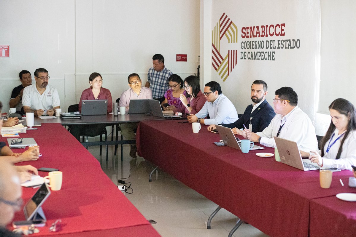 CAMPECHE ALCANZA EL 99.41% DE ELECTRIFICACIÓN Y ANUNCIA NUEVAS OBRAS PARA AMPLIAR LA RED ELÉCTRICA EN COMUNIDADES RURALES