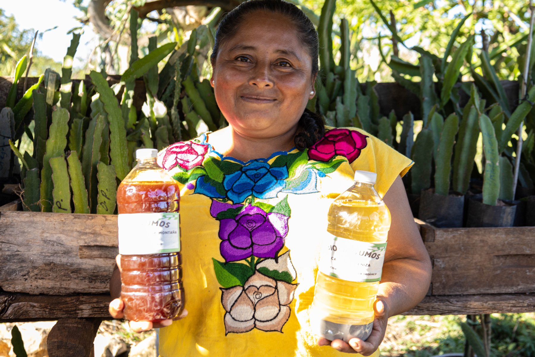 MUJERES QUE CULTIVAN EL CAMBIO: AGROECOLOGÍA QUE TRANSFORMA COMUNIDADES
