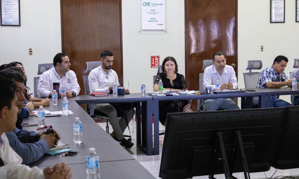 27 OBRAS ENERGÉTICAS PARA 2025 CON 41 MILLONES DE PESOS