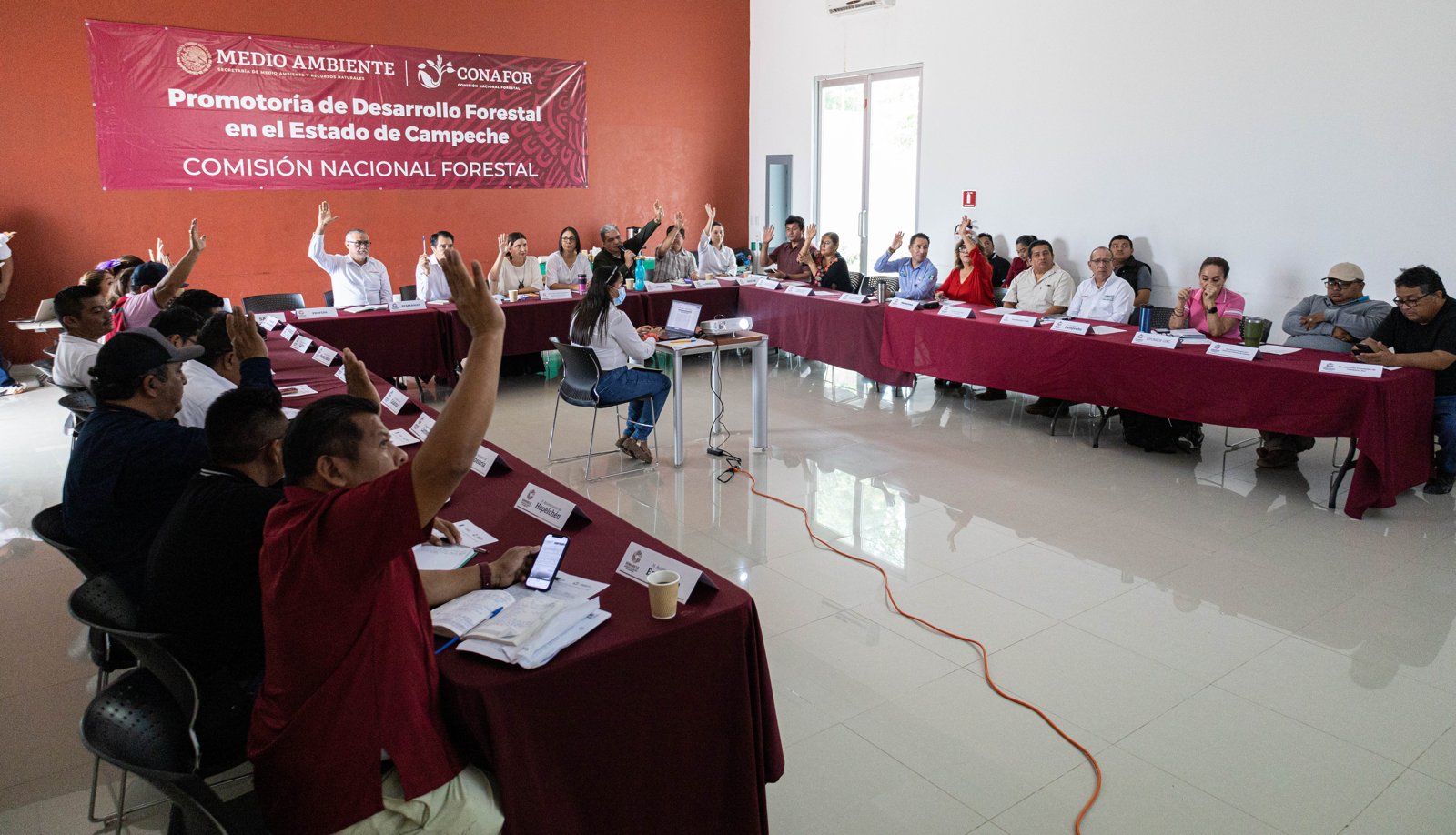 CONSEJO ESTATAL PROMUEVE EL DESARROLLO FORESTAL SUSTENTABLE