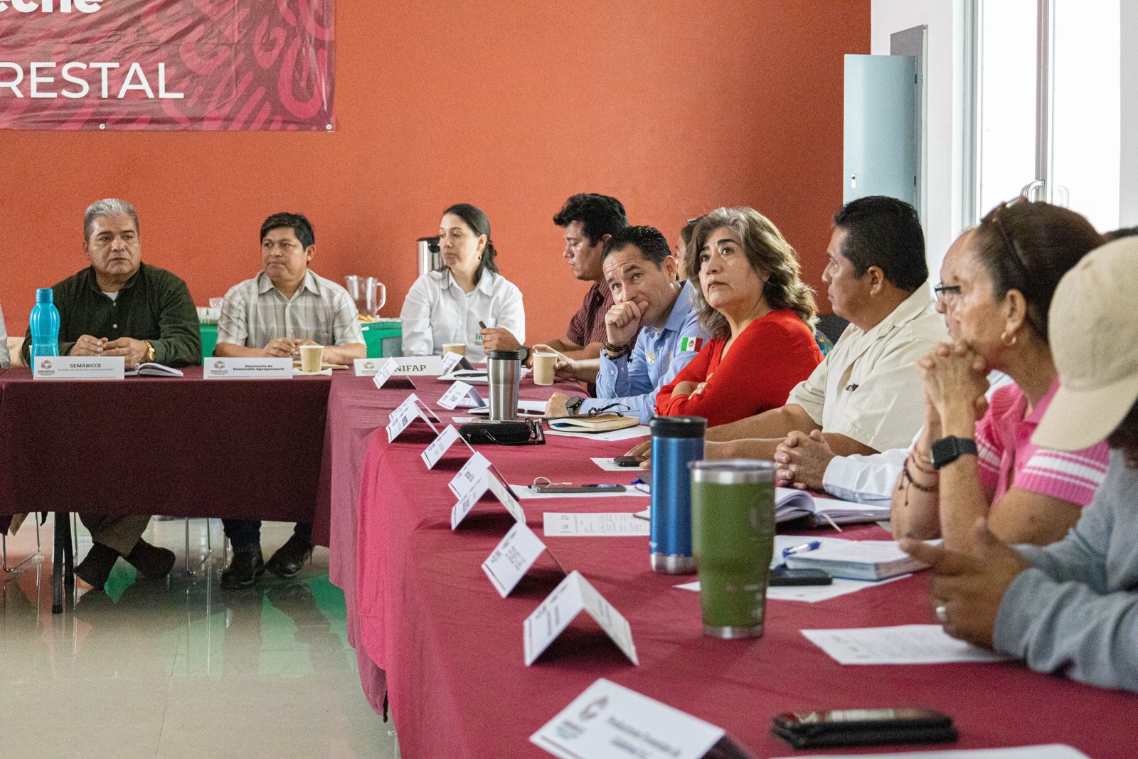 CONSEJO ESTATAL PROMUEVE EL DESARROLLO FORESTAL SUSTENTABLE