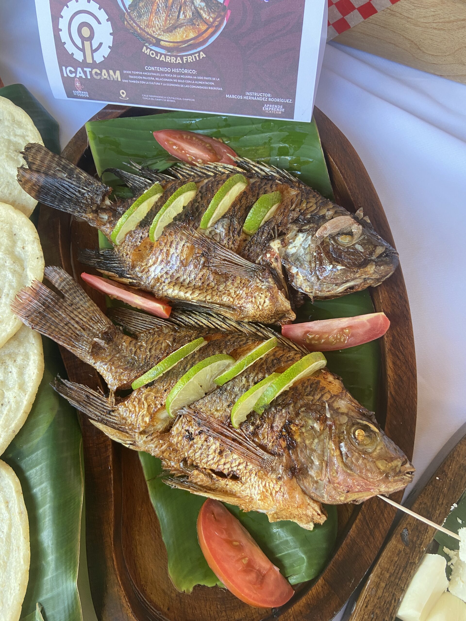 EVENTO DE EXPOCISIÓN DE GASTRONOMÍA DEL ICAT ACCIÓN MÓVIL PALIZADA EN EL 14 ANIVERSARIO DEL PUEBLO MÁGICO