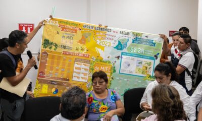 ABEJAS SERÁN SÍMBOLO DE UNIÓN PRODUCTIVA HACIA LA SUSTENTABILIDAD