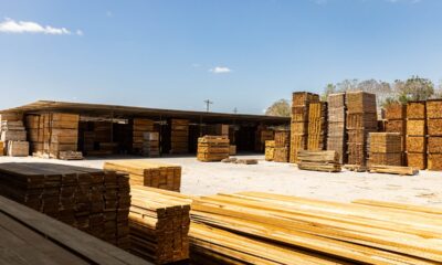PLANTACIONES FORESTALES, UN MODELO DE SUSTENTABILIDAD Y ECONOMÍA FORESTAL