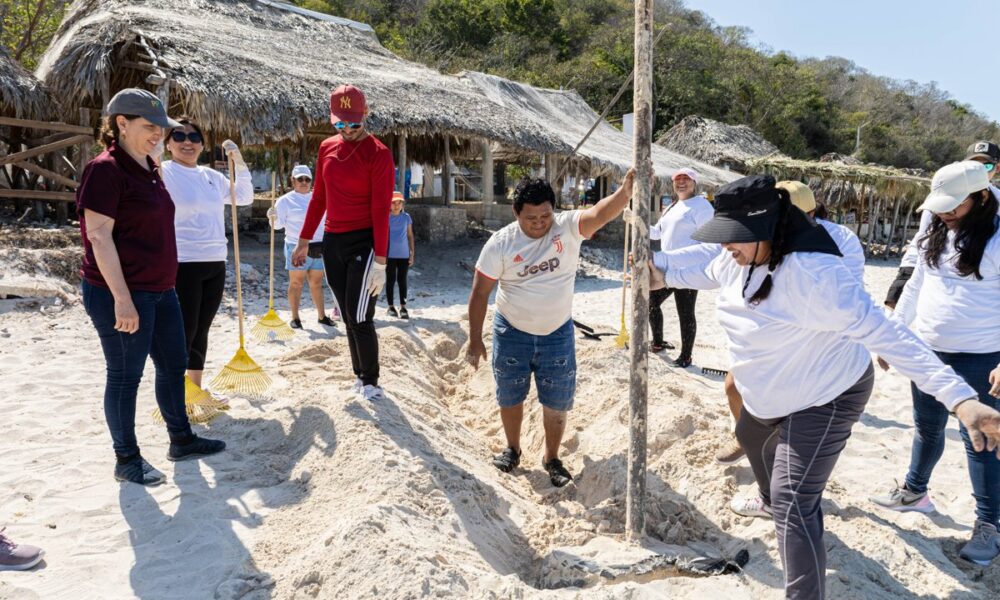 INICIA LA TEMPORADA DE ANIDACIÓN DE TORTUGAS MARINAS 2025, CON MEGA EVENTO EN PAYUCÁN