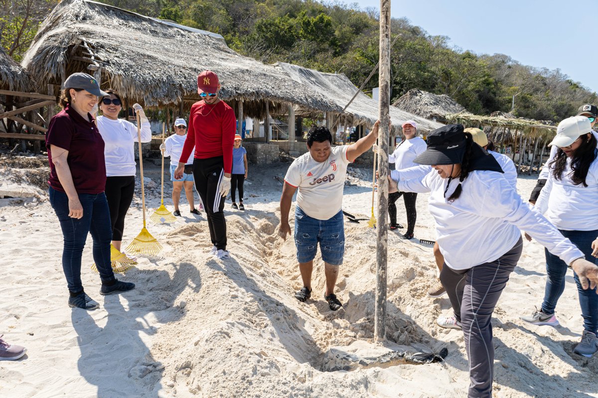 INICIA LA TEMPORADA DE ANIDACIÓN DE TORTUGAS MARINAS 2025, CON MEGA EVENTO EN PAYUCÁN