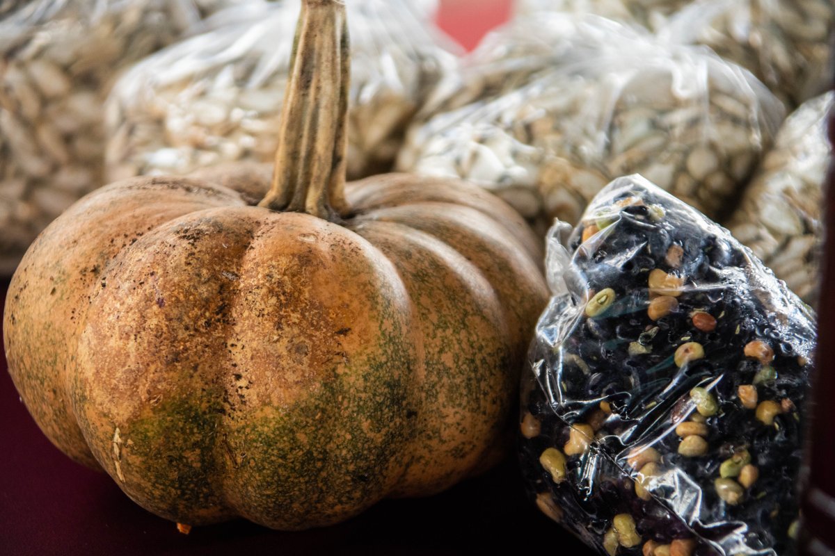 CAMPECHE CELEBRA LA NATURALEZA Y EL CONSUMO LOCAL CON LA 3ra ECOFERIA BALAM BEH