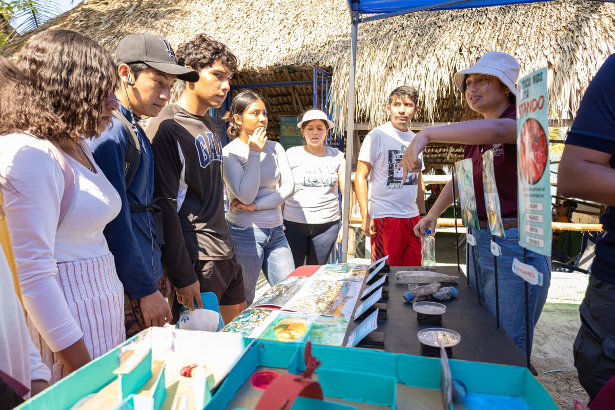 INICIA LA TEMPORADA DE ANIDACIÓN DE TORTUGAS MARINAS 2025, CON MEGA EVENTO EN PAYUCÁN