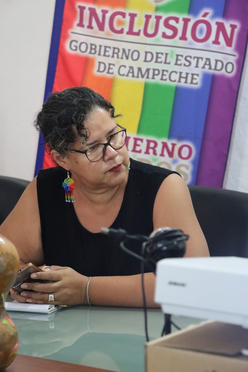 SEIN E INJUCAM AVANZAN HACIA LA CREACIÓN DEL CONSEJO CONSULTIVO JUVENIL DE LA INCLUSIÓN