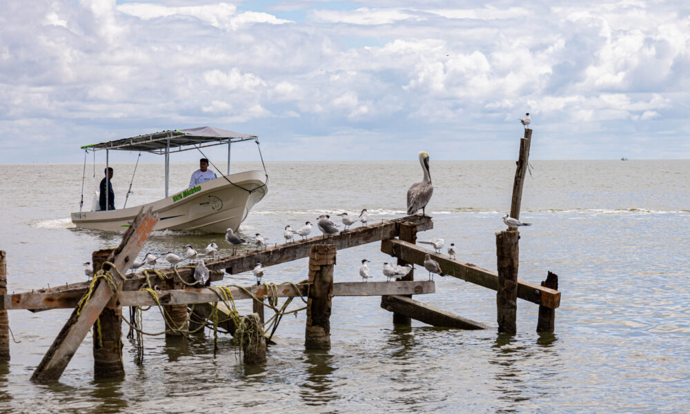 EN ISLA AGUADA, EL PRIMER MOTOR 100% ELÉCTRICO PARA LANCHAS, CONSTRUIDO DESDE CERO