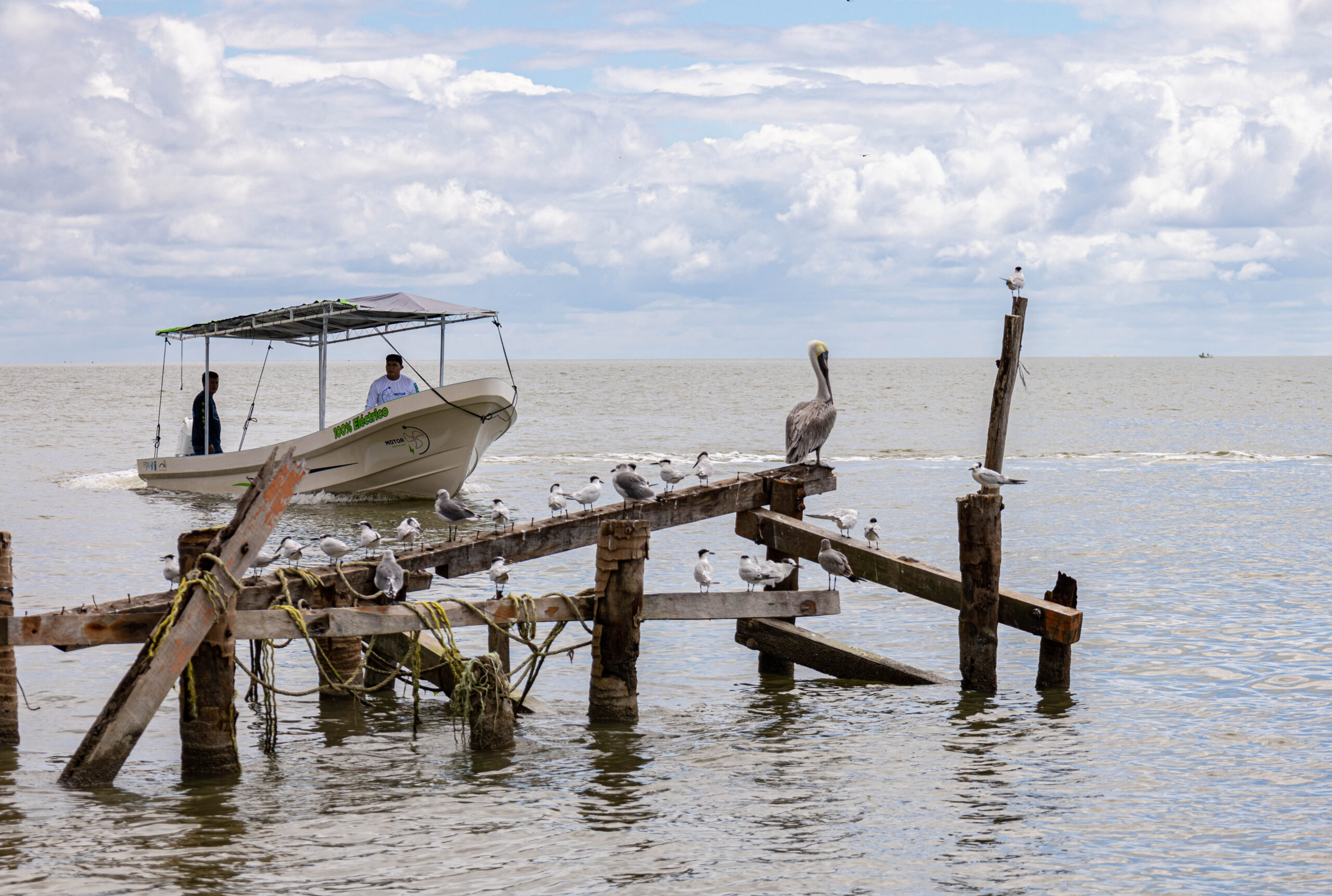 EN ISLA AGUADA, EL PRIMER MOTOR 100% ELÉCTRICO PARA LANCHAS, CONSTRUIDO DESDE CERO