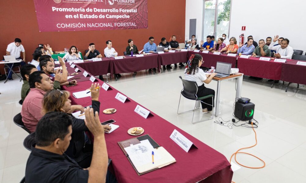 EN 2025 SE CONSOLIDARON ACCIONES PARA UN MANEJO FORESTAL SOSTENIBLE