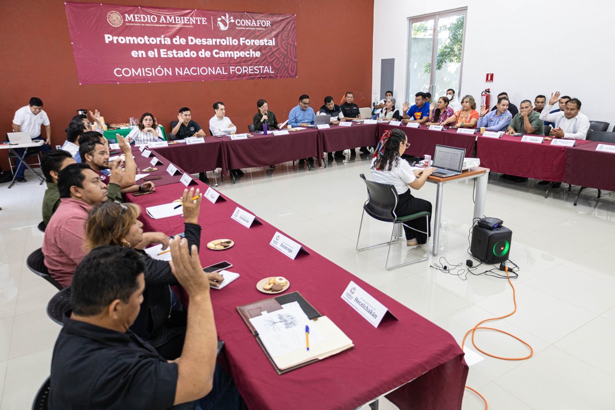 EN 2025 SE CONSOLIDARON ACCIONES PARA UN MANEJO FORESTAL SOSTENIBLE