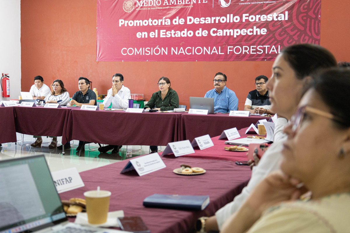 EN 2025 SE CONSOLIDARON ACCIONES PARA UN MANEJO FORESTAL SOSTENIBLE