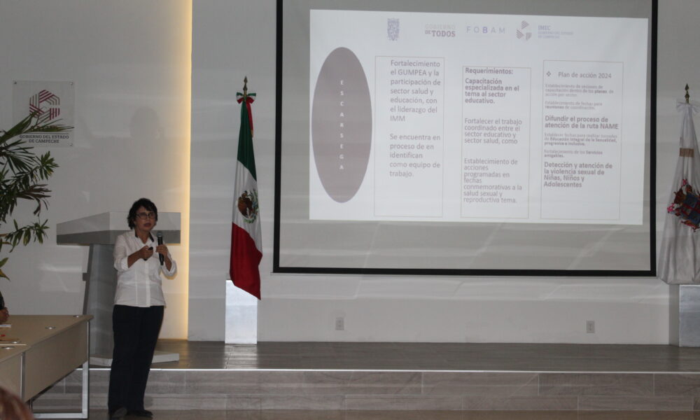 APRUEBAN PLAN ANUAL DE PREVENCIÓN DEL EMBARAZO EN ADOLESCENTES