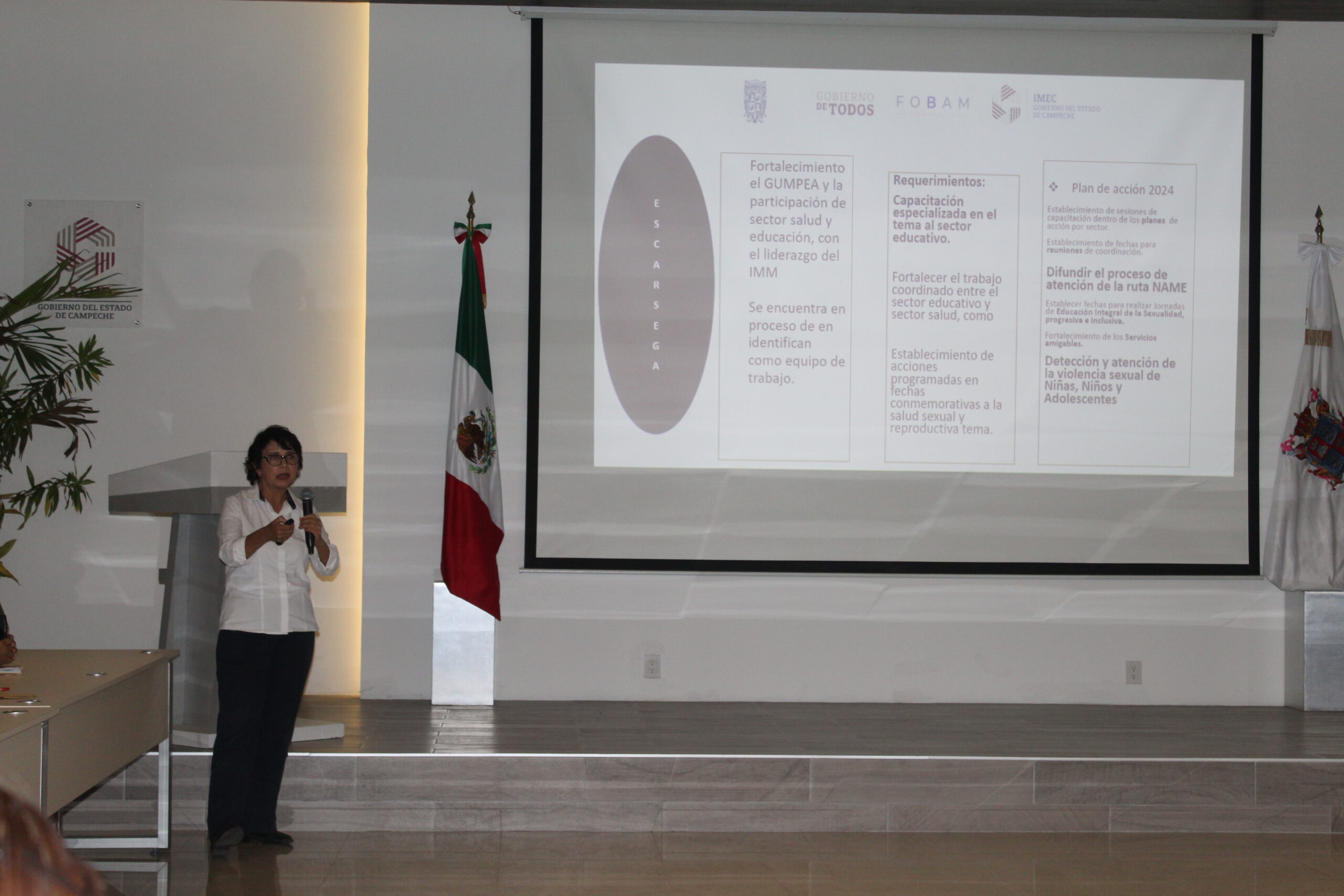 APRUEBAN PLAN ANUAL DE PREVENCIÓN DEL EMBARAZO EN ADOLESCENTES