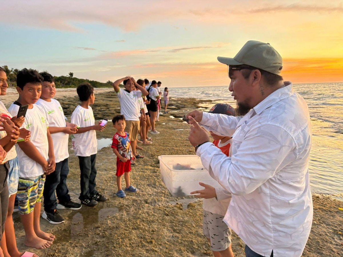 TEMPORADA DE ANIDACIÓN DE TORTUGAS MARINAS 2025