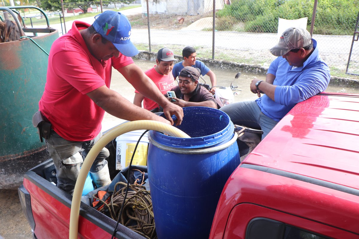 PLAN CAMPECHE IMPULSA EL FORTALECIMIENTO DEL CAMPO Y LA PRODUCCIÓN AGROPECUARIA; ROXANA RIVERA PEÑA