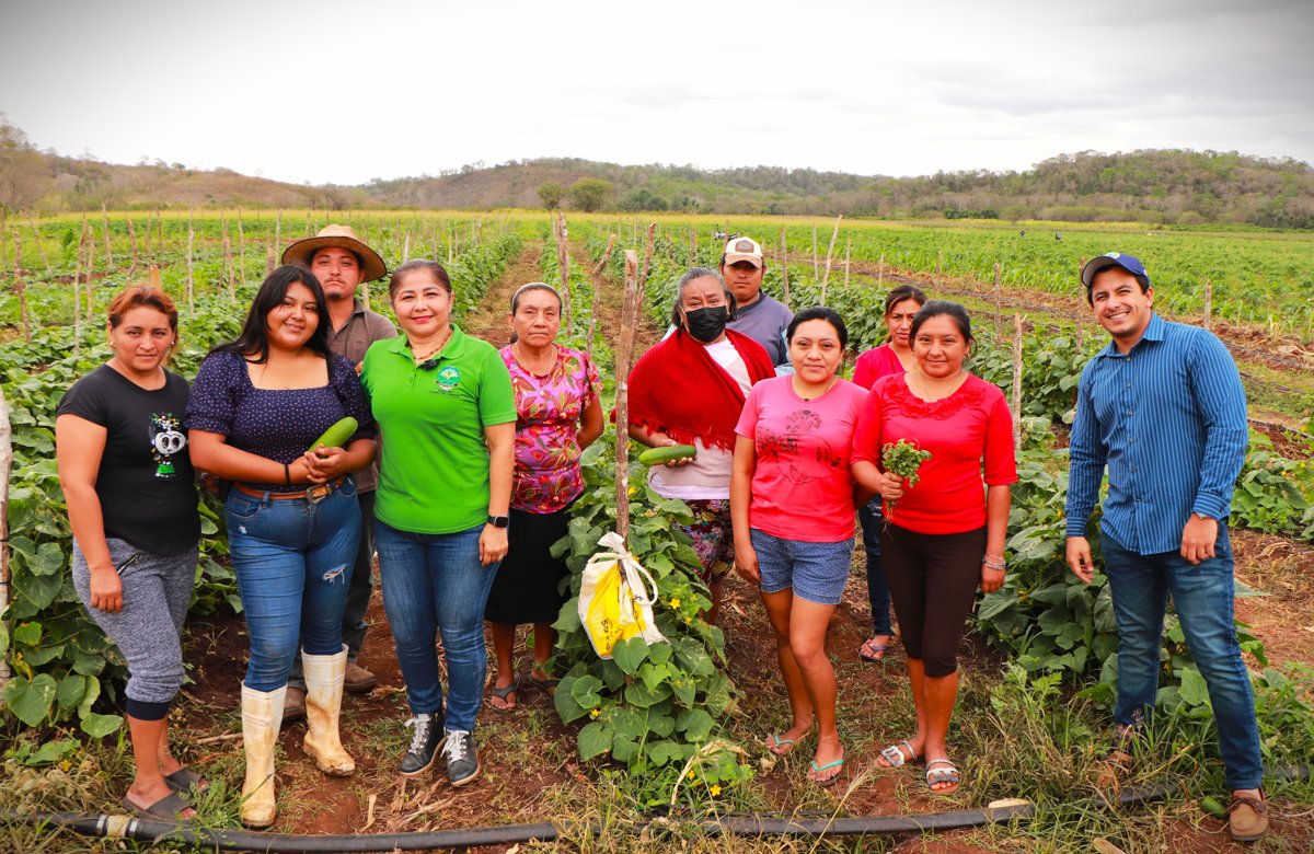 COSECHA HORTÍCOLA EN BOBOLÁ