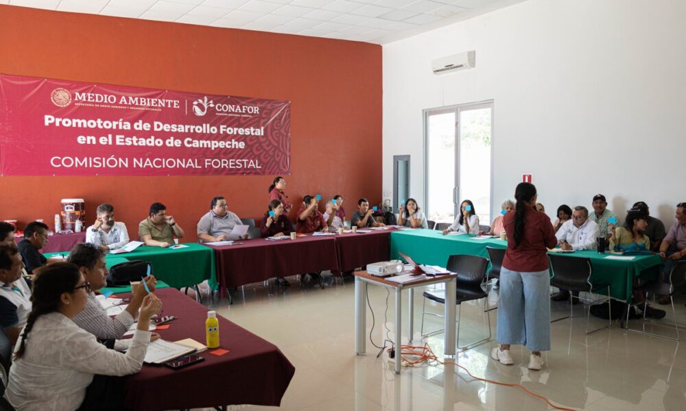 SE INSTALA EL COMITÉ DE ATENCIÓN A LA MORTANDAD DE ABEJAS, UNA ACCIÓN COORDINADA POR EL CONSEJO ECOLÓGICO DE PARTICIPACIÓN CIUDADANA