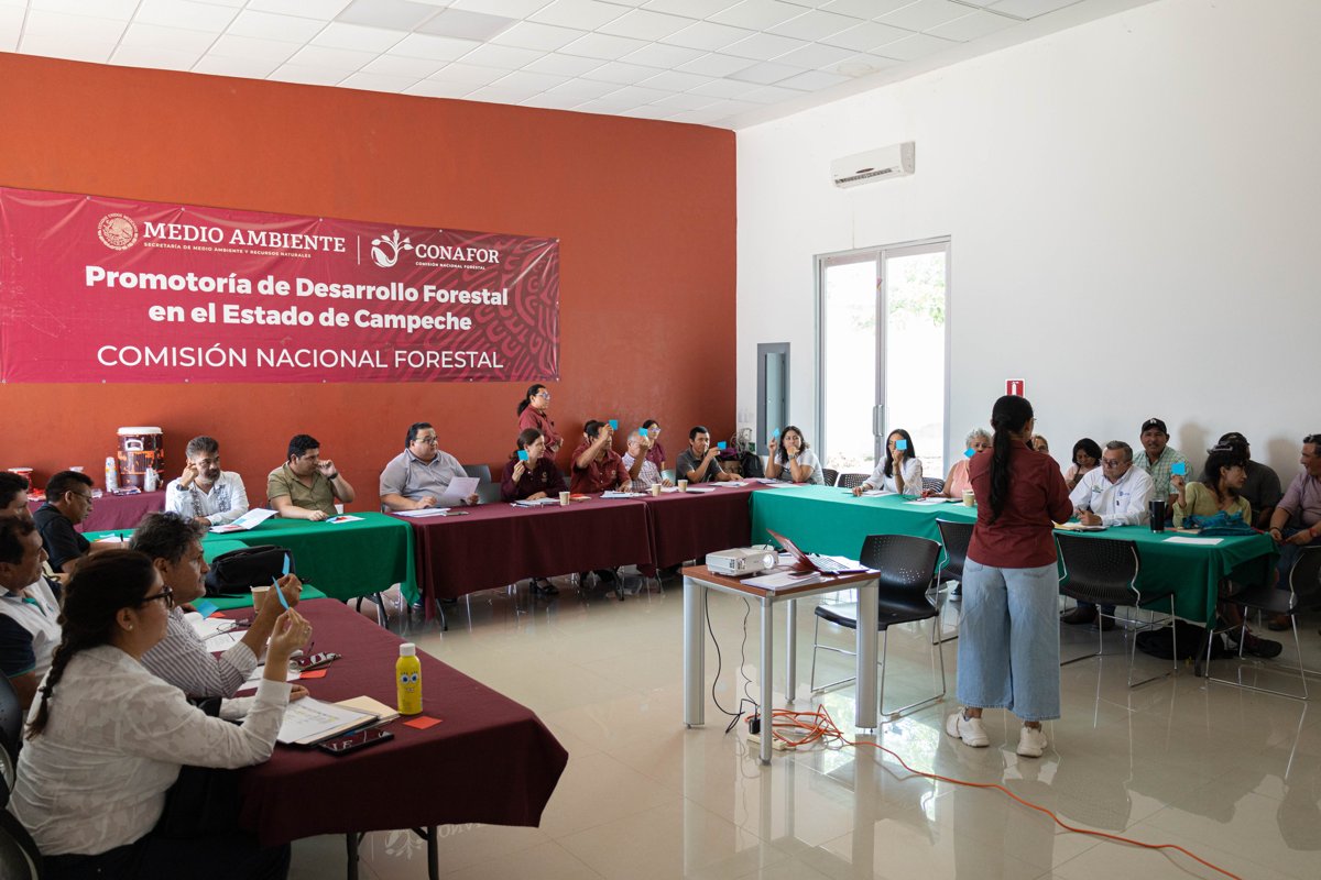 SE INSTALA EL COMITÉ DE ATENCIÓN A LA MORTANDAD DE ABEJAS, UNA ACCIÓN COORDINADA POR EL CONSEJO ECOLÓGICO DE PARTICIPACIÓN CIUDADANA
