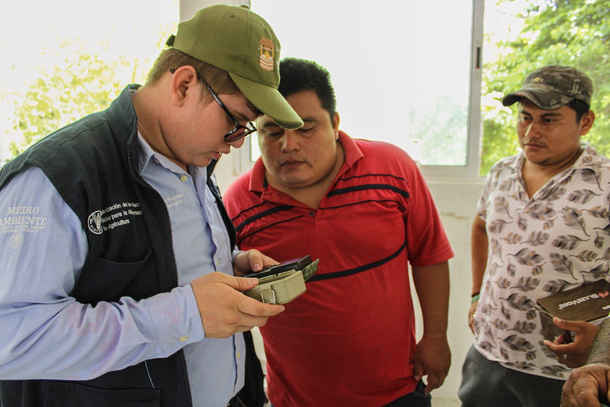 CAPACITAN A GUARDAPARQUES DE BALAM KÚ EN EL USO DE CÁMARAS TRAMPA PARA MONITOREO DE FAUNA