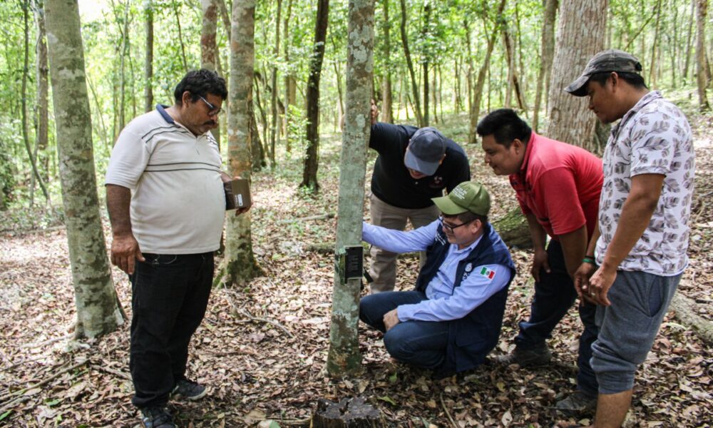 CAPACITAN A GUARDAPARQUES DE BALAM KÚ EN EL USO DE CÁMARAS TRAMPA PARA MONITOREO DE FAUNA