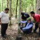 CAPACITAN A GUARDAPARQUES DE BALAM KÚ EN EL USO DE CÁMARAS TRAMPA PARA MONITOREO DE FAUNA