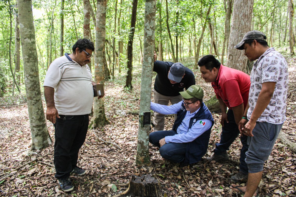 CAPACITAN A GUARDAPARQUES DE BALAM KÚ EN EL USO DE CÁMARAS TRAMPA PARA MONITOREO DE FAUNA