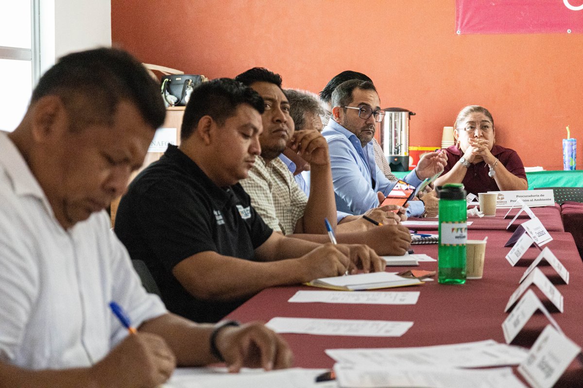 CAMPECHE INICIA RUTA PARA REACTIVAR SECTOR FORESTAL