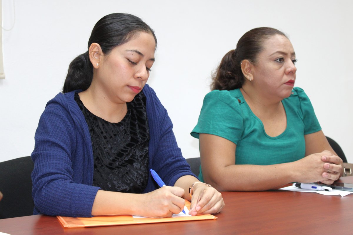 IMEC RECIBE DOCUMENTACIÓN DE PROFESIONISTAS DE LOS MUNICIPIOS DE CARMEN, PALIZADA Y CALAKMUL, PARA EL PROYECTO PAIBIM 2025