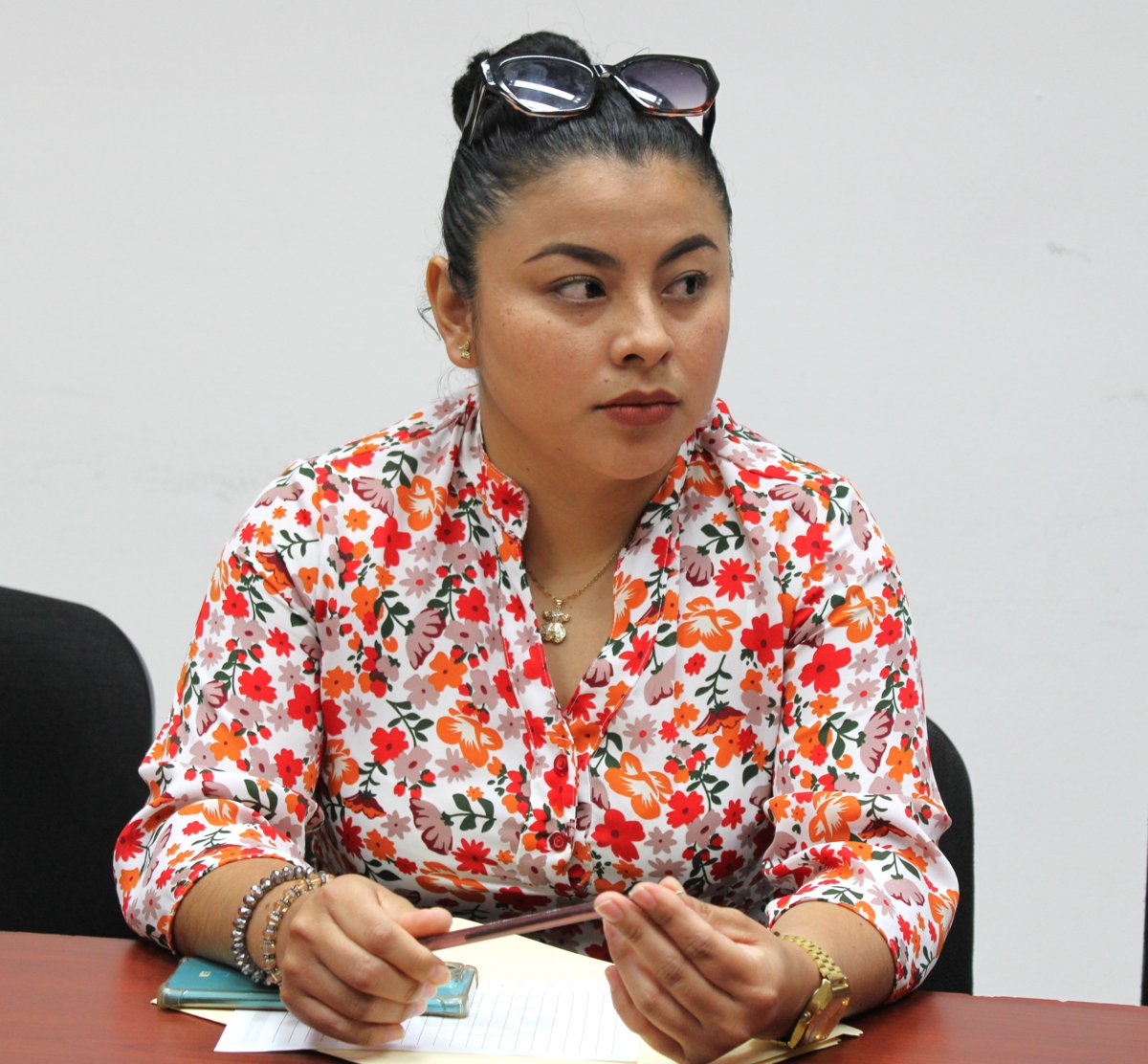IMEC RECIBE DOCUMENTACIÓN DE PROFESIONISTAS DE LOS MUNICIPIOS DE CARMEN, PALIZADA Y CALAKMUL, PARA EL PROYECTO PAIBIM 2025