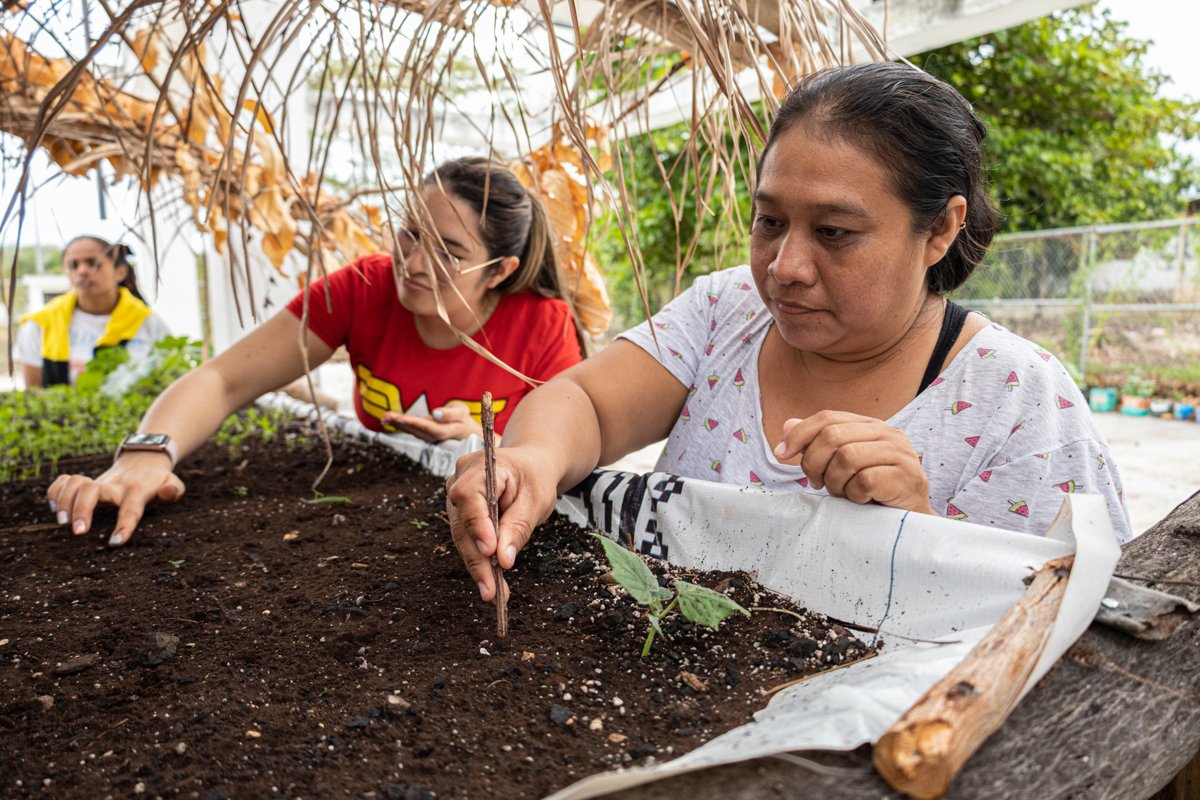 SEMABICCE LLEVA TALLER DE HUERTOS A LOS CDC DE CAMPECHE