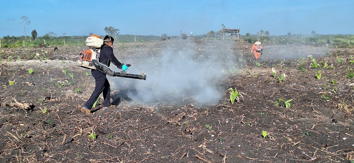 LA SDA REFUERZA ACCIONES PARA CONTROLAR LA LANGOSTA EN CHAMPOTÓN