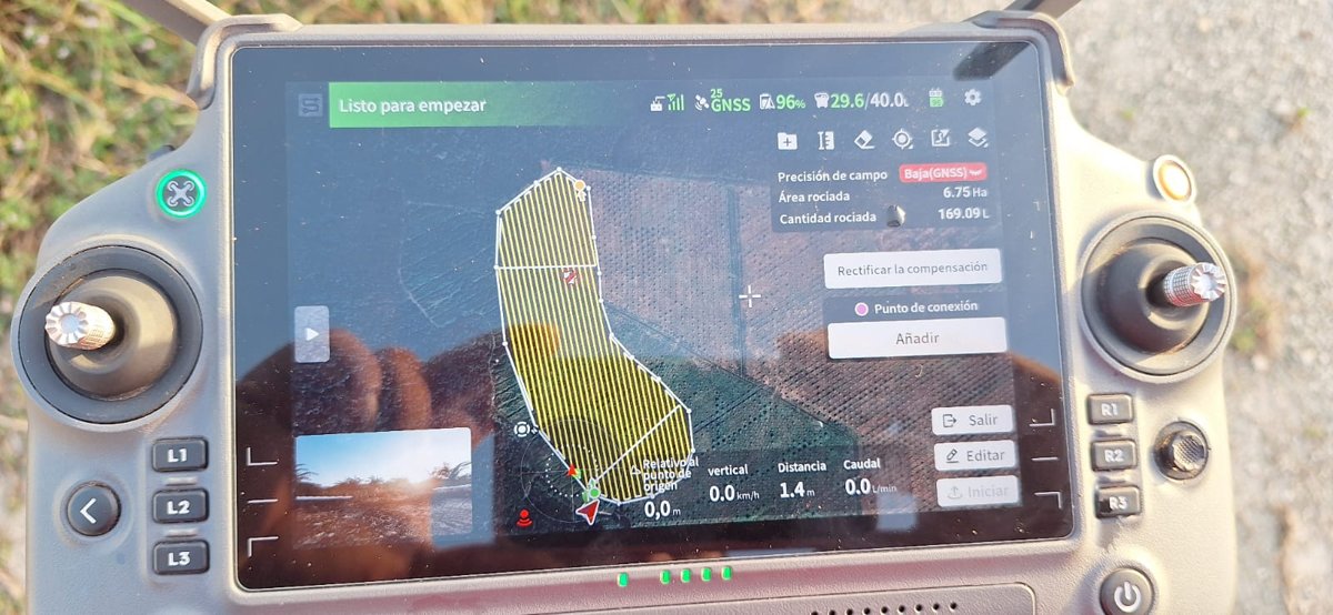 LA SDA REFUERZA ACCIONES PARA CONTROLAR LA LANGOSTA EN CHAMPOTÓN