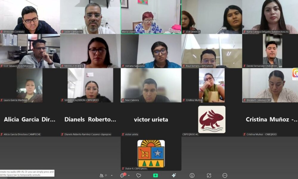 REUNIÓN DE TRABAJO DE LAS COMISIONES DEL SURESTE-PENÍNSULA PARA EL ANÁLISIS DE CONTEXTO REGIONAL