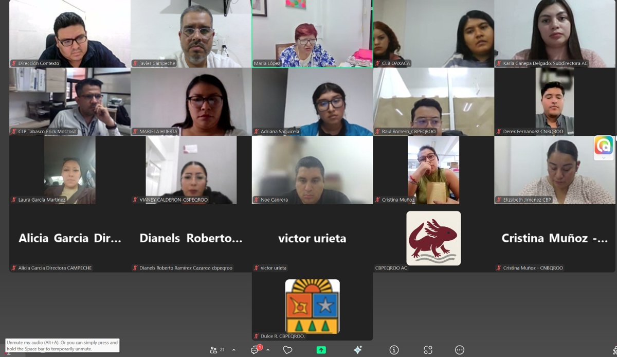 REUNIÓN DE TRABAJO DE LAS COMISIONES DEL SURESTE-PENÍNSULA PARA EL ANÁLISIS DE CONTEXTO REGIONAL