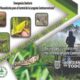 ACCIONES PARA PREVENIR Y CONTROLAR LA LANGOSTA CENTROAMERICANA