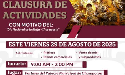 IMÁGENES: https:/ /we.tl/t-KG7PuNSd4J