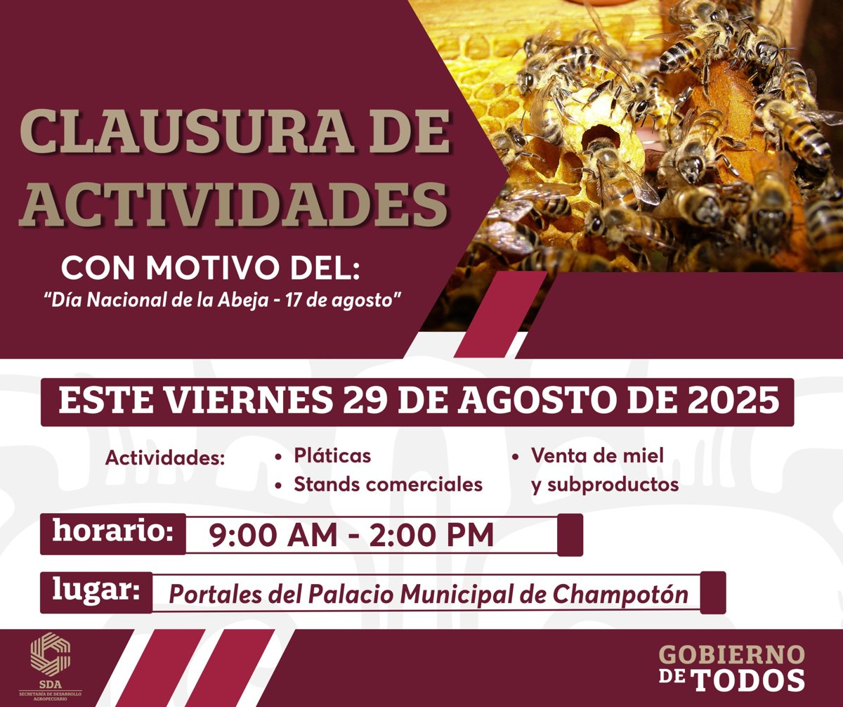 IMÁGENES: https:/ /we.tl/t-KG7PuNSd4J