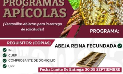 PROGRAMA APÍCOLA: ABEJAS REINA FECUNDADAS