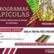 PROGRAMA APÍCOLA: ABEJAS REINA FECUNDADAS