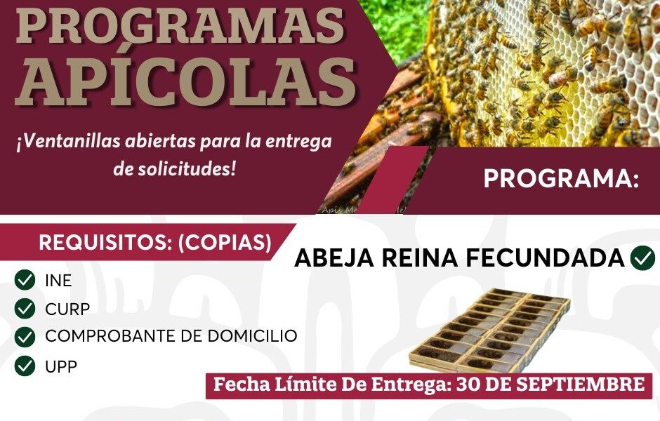 PROGRAMA APÍCOLA: ABEJAS REINA FECUNDADAS