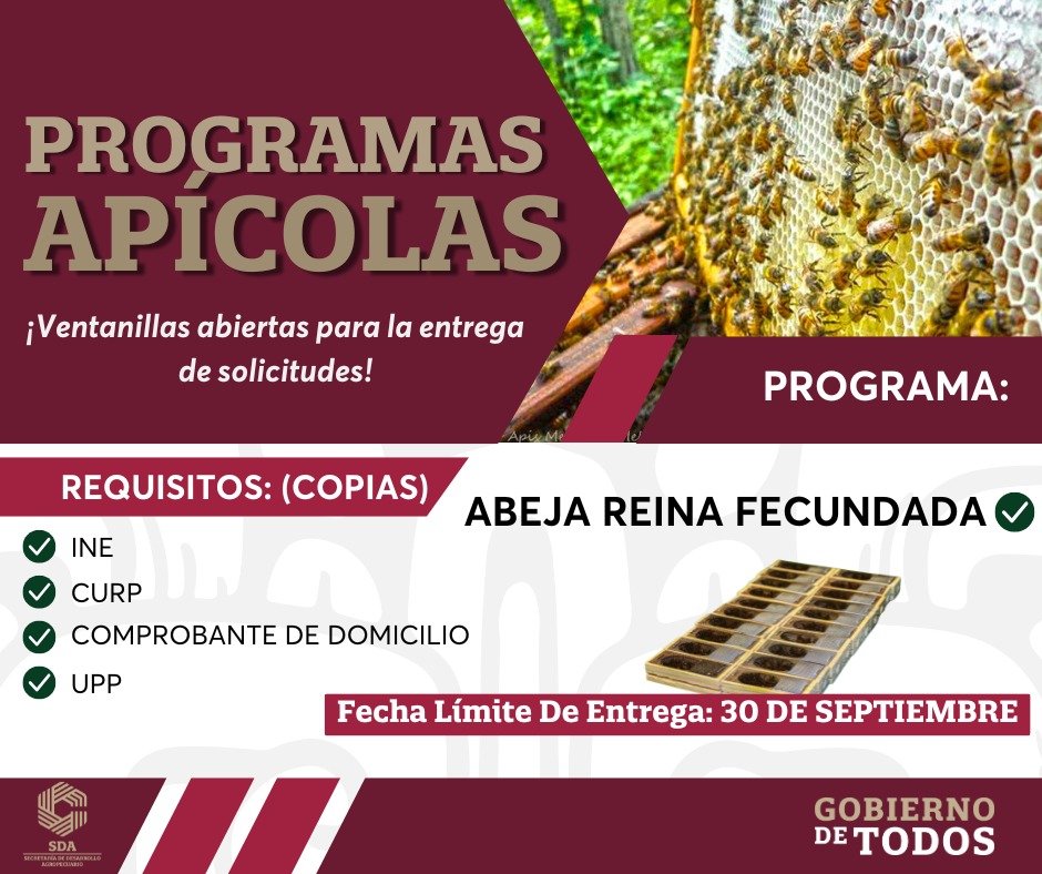 PROGRAMA APÍCOLA: ABEJAS REINA FECUNDADAS