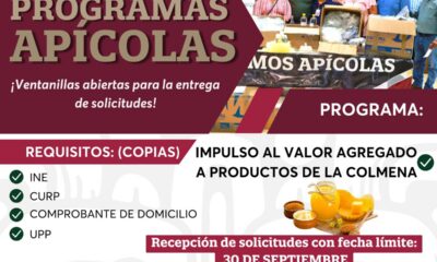 PROGRAMA APÍCOLA: VALOR AGREGADO