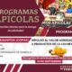 PROGRAMA APÍCOLA: VALOR AGREGADO
