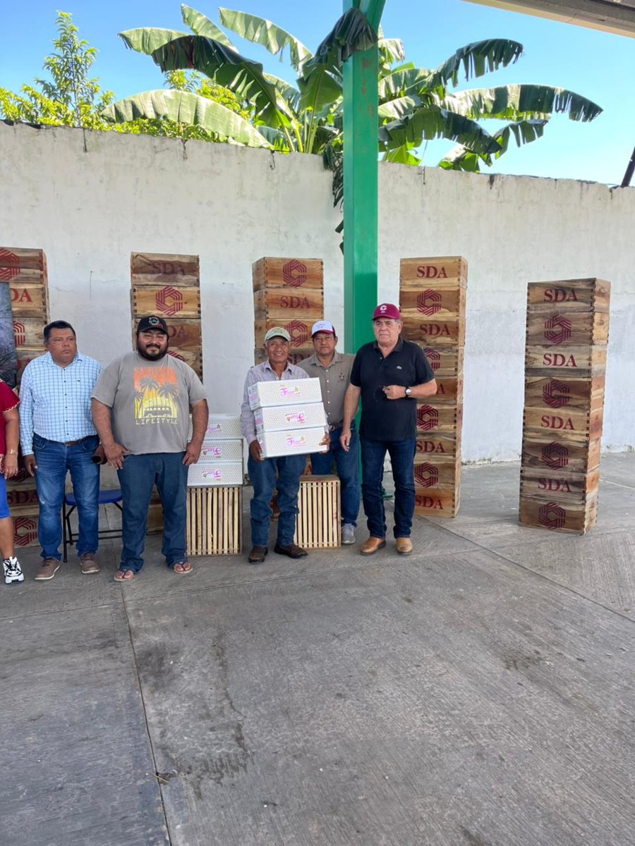 LA SDA CONTINÚA IMPULSANDO LA APICULTURA EN LA ENTIDAD