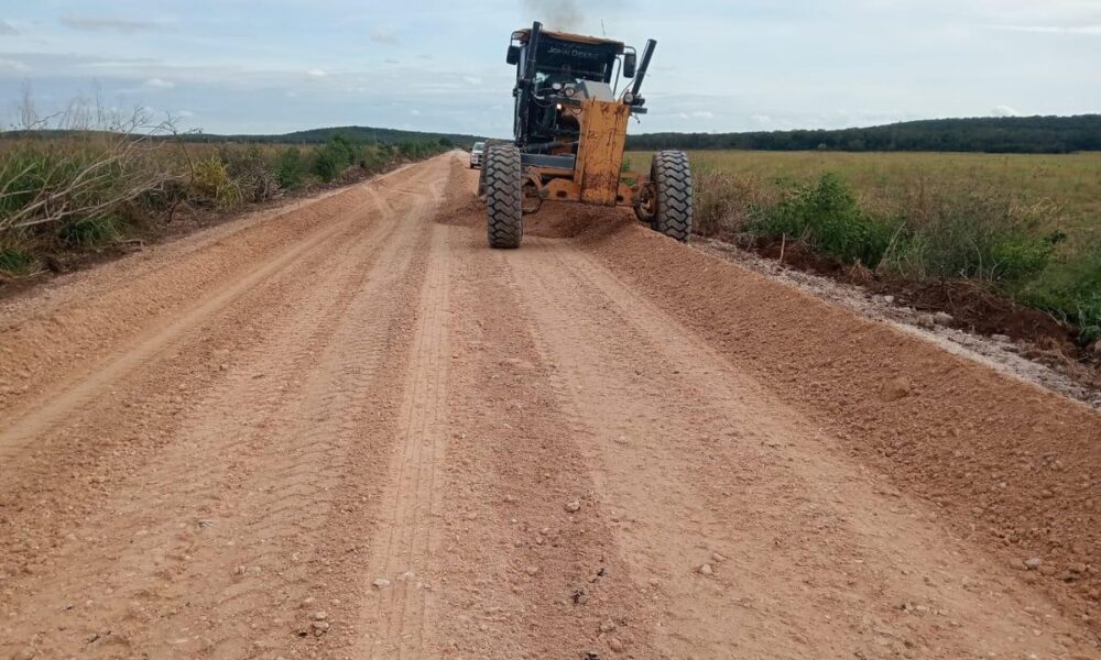RECONSTRUCCIÓN DE LA CARRETERA PICH-LOS LAURELES (TRAMOS AISLADOS), LOCALIDAD LOS LAURELES, MUNICIPIO CHAMPECHE